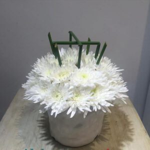 گلدان سرامیکی سفید با گل آرایی گل داوودی
